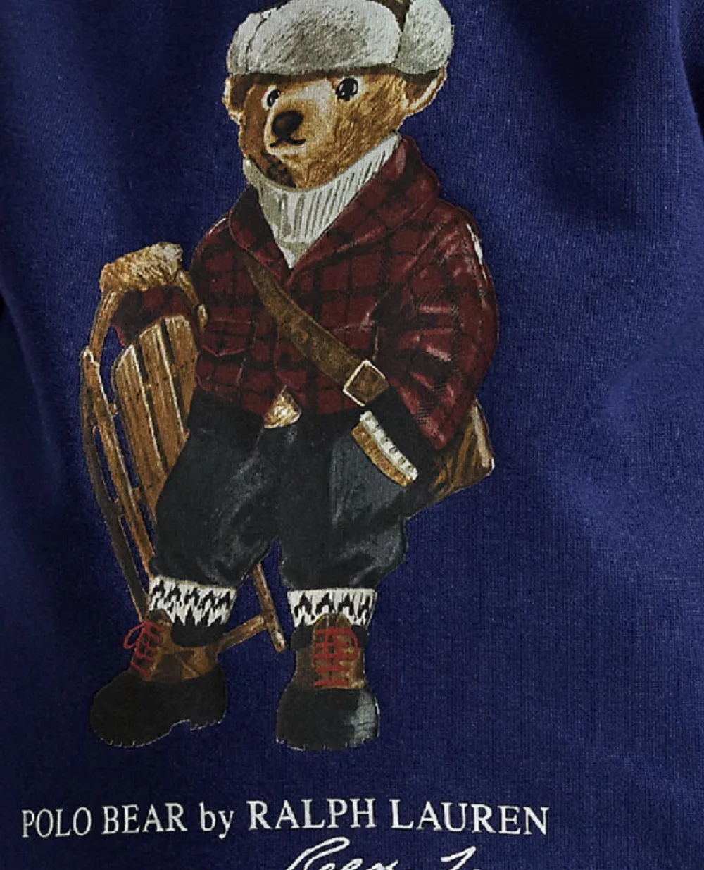 Дитячий худі Polo Bear з флісу Polo Ralph Lauren Kids 322981262001, синій колір • Купити в інтернет-магазині Kameron