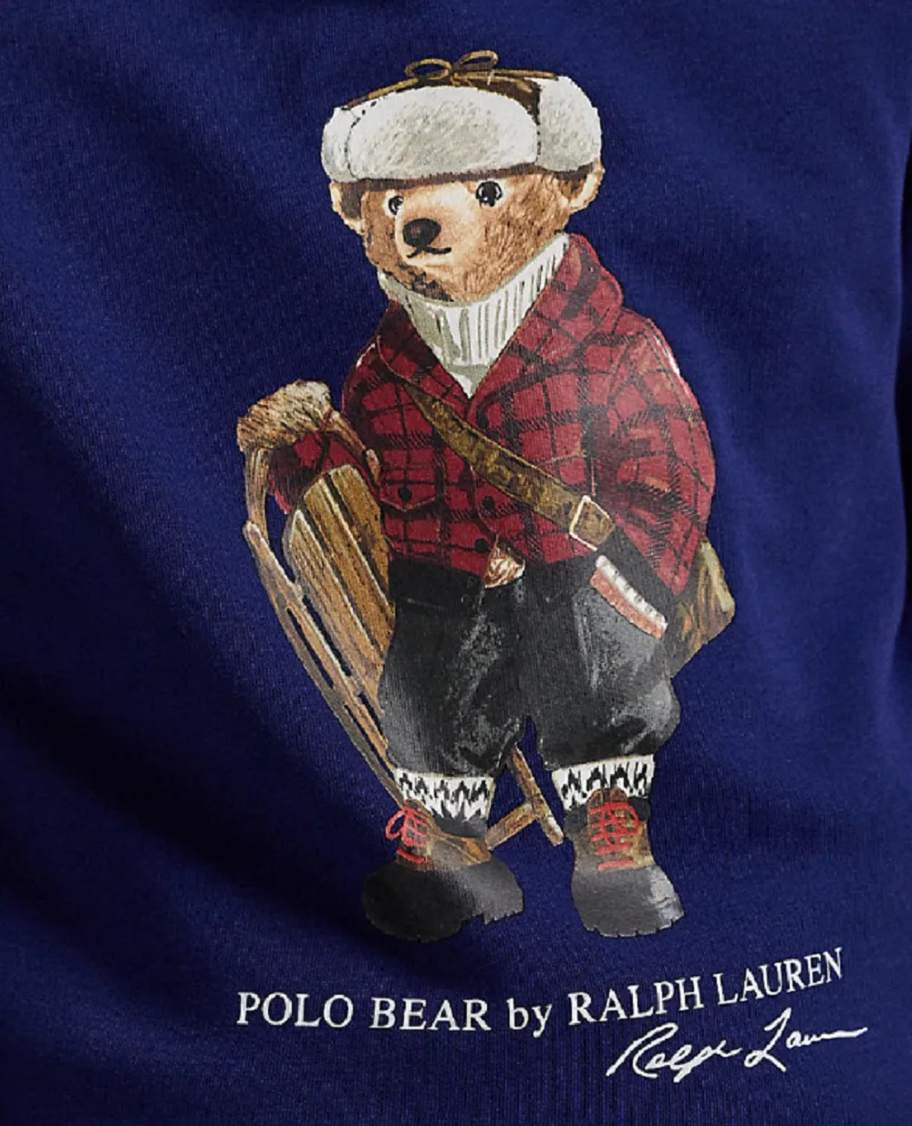 Дитячий худі Polo Bear з флісу Polo Ralph Lauren Kids 323981262001, синій колір • Купити в інтернет-магазині Kameron