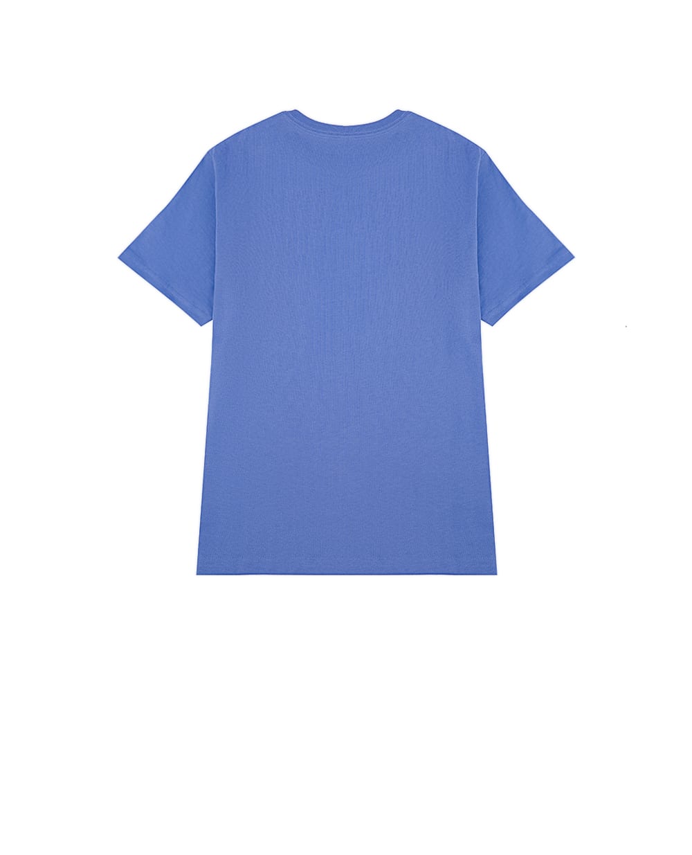 Детская футболка Polo Bear Polo Ralph Lauren Kids 323973136001, синий цвет • Купить в интернет-магазине Kameron