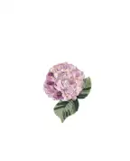 Dolce&Gabbana Шовкова брошка - Артикул: WPJ6F2-W1111