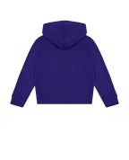 Polo Ralph Lauren Детский худи (костюм) - Артикул: 323919830001