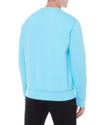 Polo Ralph Lauren Свитшот - Артикул: 710881519009