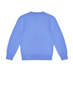 Polo Ralph Lauren Детский джемпер - Артикул: 321799887037