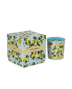 Dolce&Gabbana Свеча - Артикул: TCC087-TCAIX