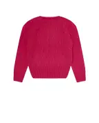 Polo Ralph Lauren Детский шерстяной свитер - Артикул: 312877375002