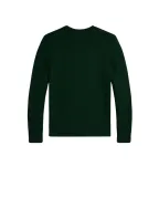 Polo Ralph Lauren Дитячий светр Polo Bear - Артикул: 323978393001