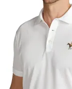 Ralph Lauren Purple Label Поло - Артикул: 790508036011