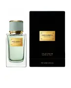 Dolce&Gabbana Парфюмированная вода Velvet Infusion, 100 мл - Артикул: P1CO1C14- Інф`южн