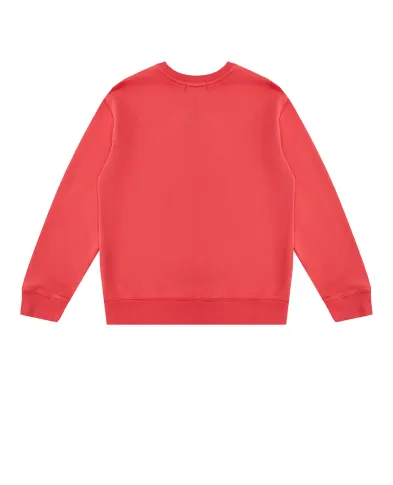 Polo Ralph Lauren Детский свитшот Polo Bear - Артикул: 322920254001