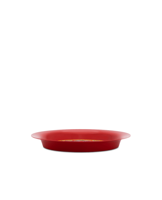 Dolce&Gabbana Поднос из металла - Артикул: TC0053-TCA59