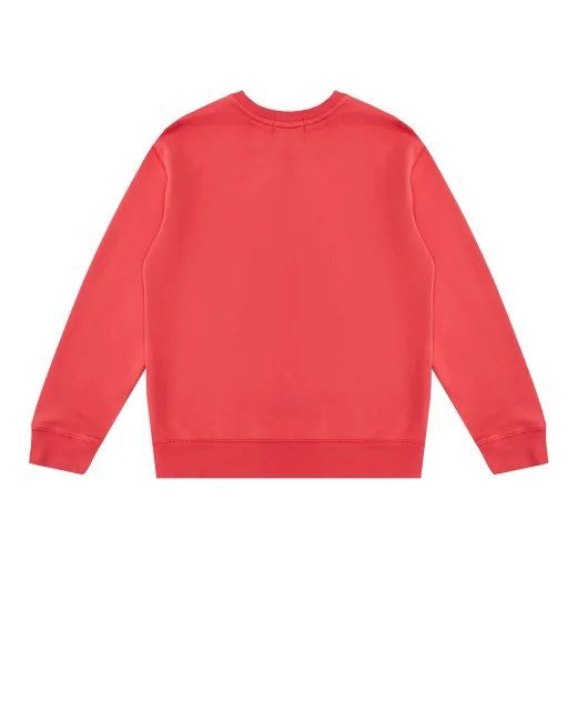 Polo Ralph Lauren Детский свитшот Polo Bear - Артикул: 322920254001