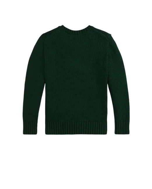 Polo Ralph Lauren Дитячий светр Polo Bear - Артикул: 322978393001