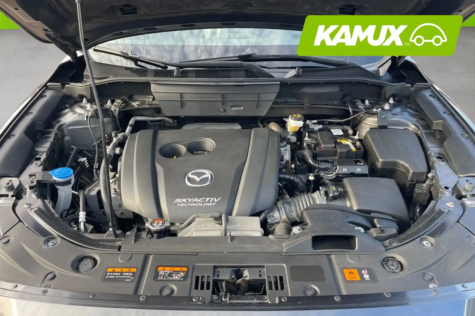 car-image