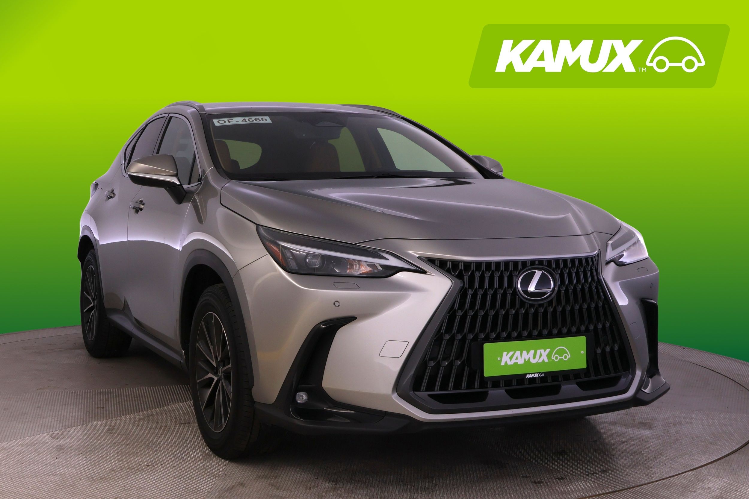 Lexus NX 450h+ AWD Business Plus 2022, kuva 6/23