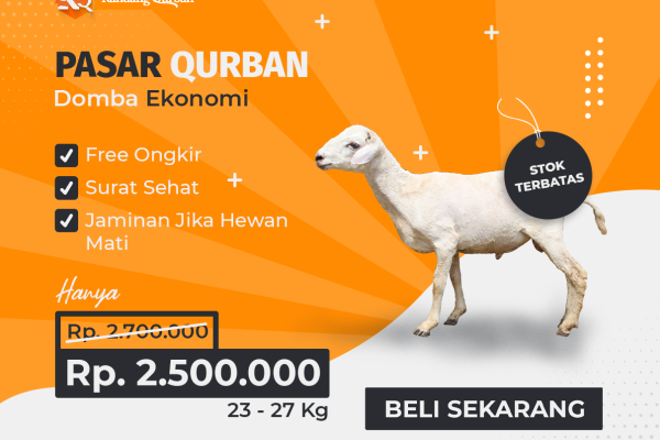 KQ-01: Kandang Qurban Domba Ekonomi - Kandang Qurban