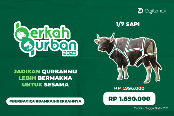 BQ02: Sapi (1/7) Pelosok Negeri - Digiternak Indonesia