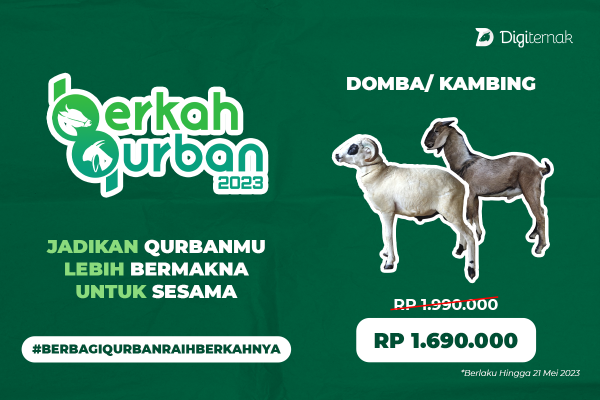 BQ01: Kambing Pelosok Negeri - Digiternak Indonesia