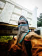 Takklloyd profile picture