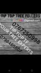 Bradley from Jump Up Tree Fellers profile picture
