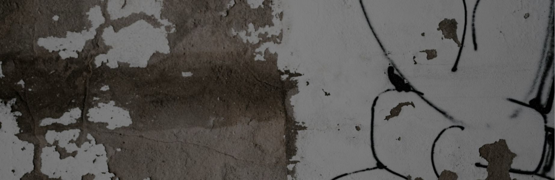 damp proofing pros in Kempton Park