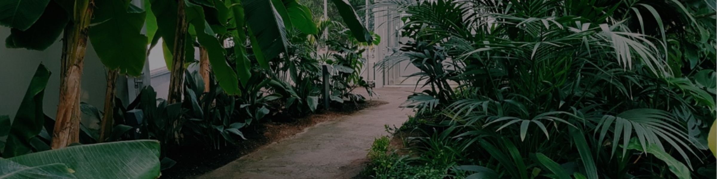 landscaping pros in Johannesburg