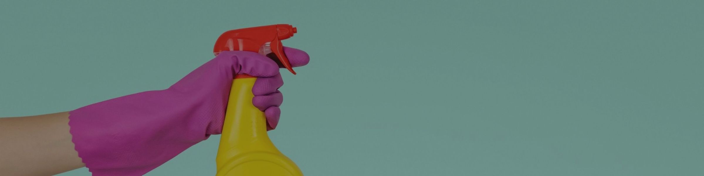 house cleaning services pros in Pretoria