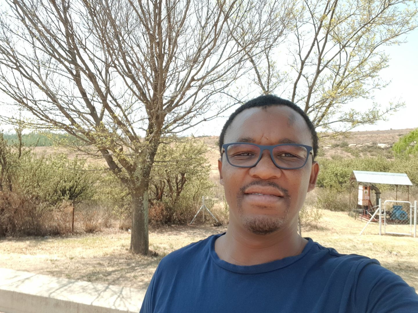 Aaron Tsoadi (Pest Control)