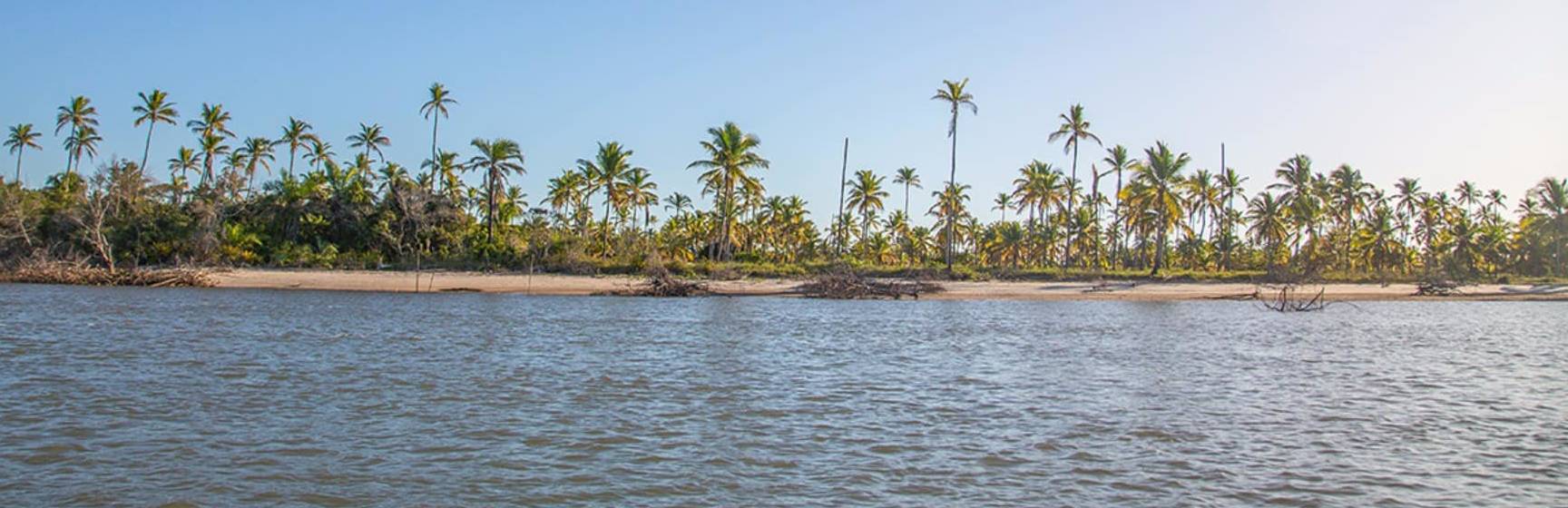 Bahia campo bahia hotel villas spa passeio canavieiras