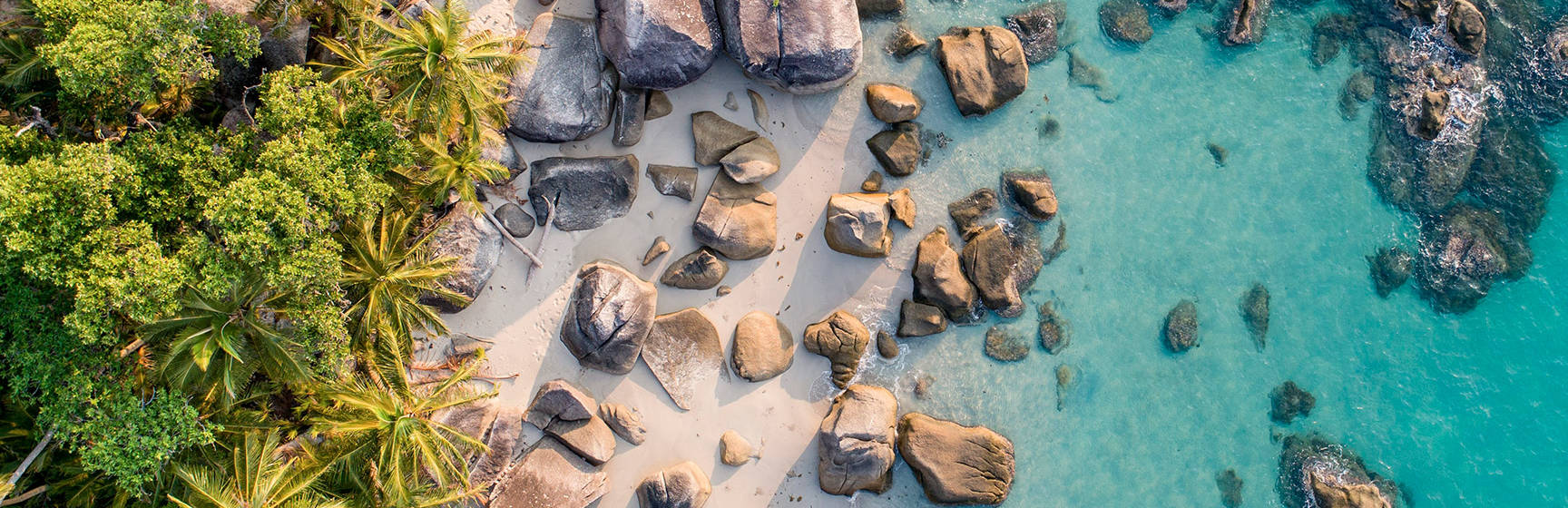 Banner bedarra island