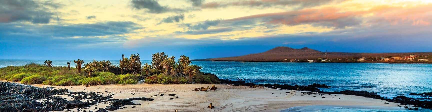 Banner galapagos