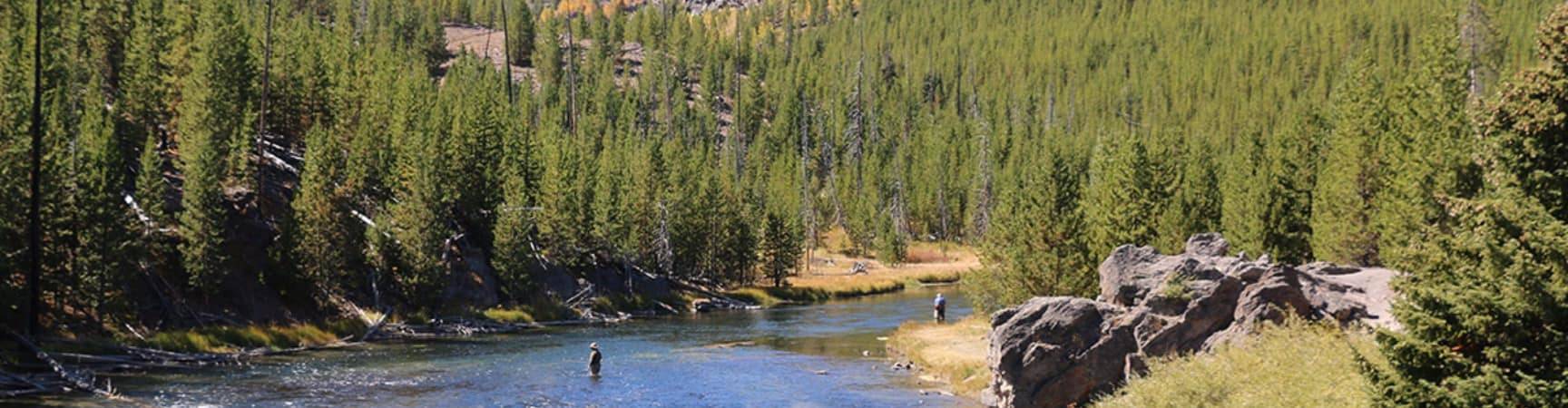 Brandusa yellowstone wyoming