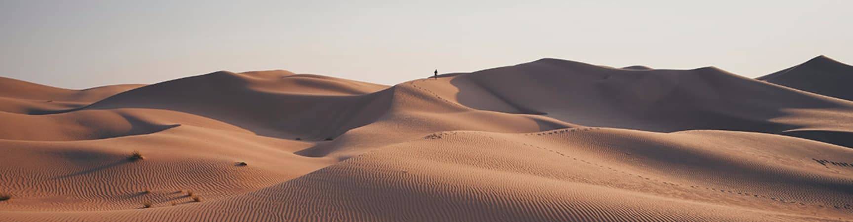 Det visit dubai dubai desert