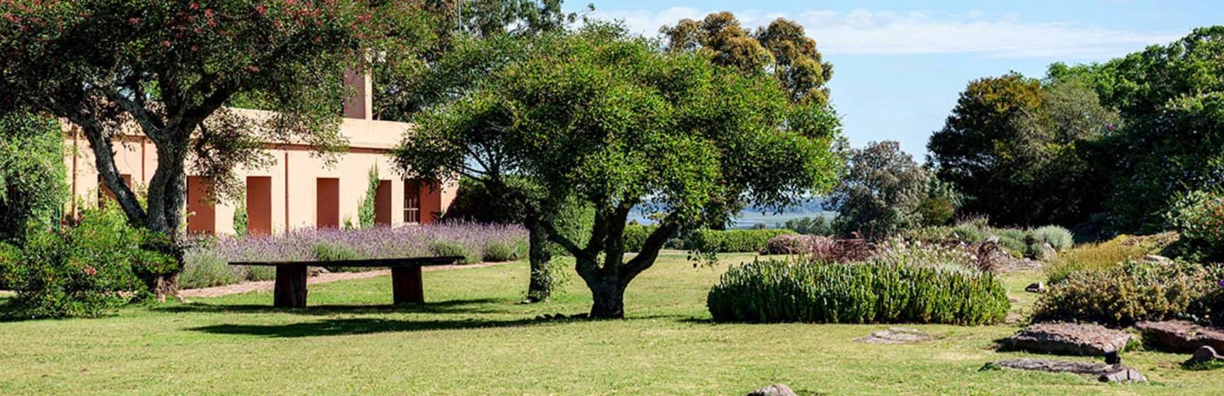 Fasano punta del este uruguai las piedras