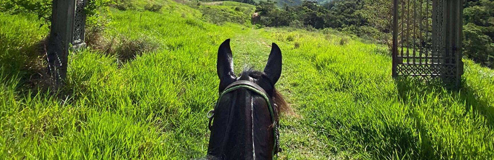 Ibiti projeto passeio a cavalo