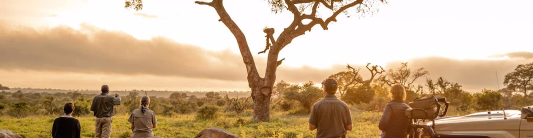 Kapama southern camp game drive cafe