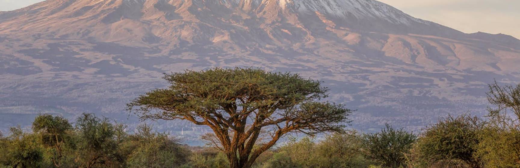 Monte kilimanjaro