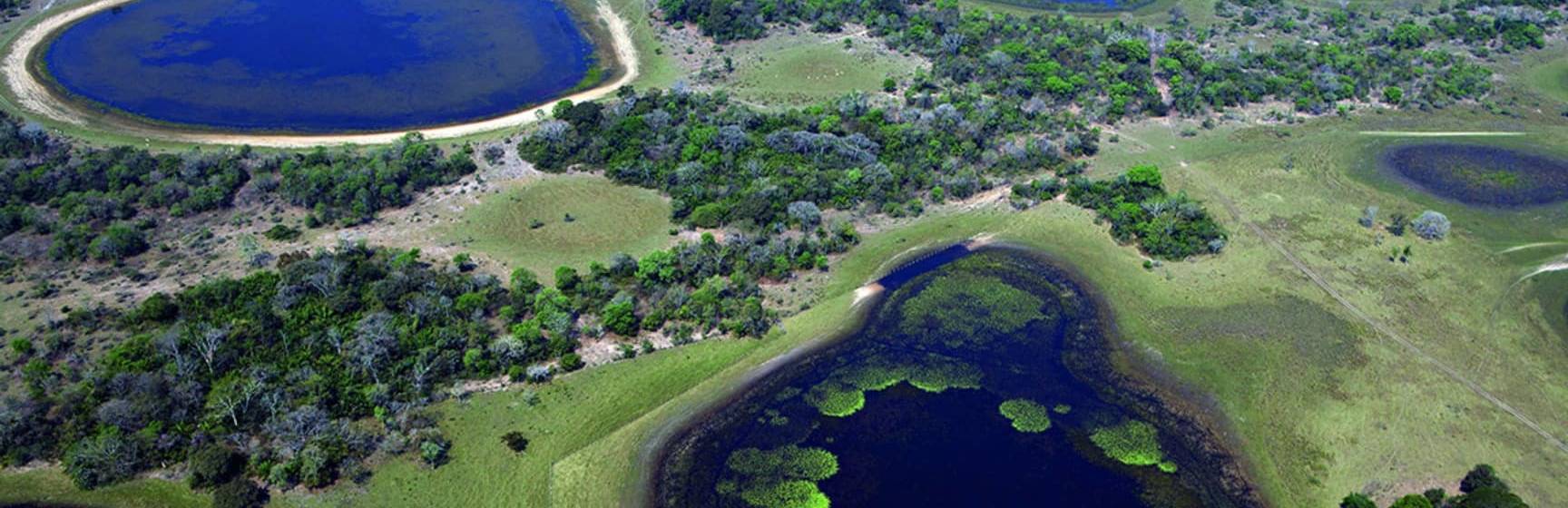 Ms barra mansa pantanal aerea