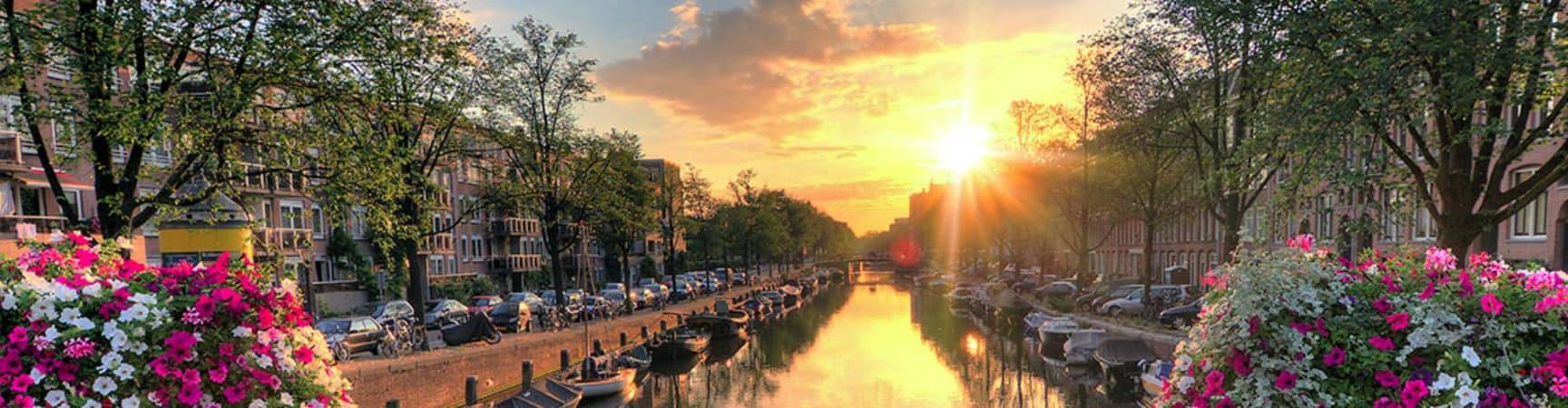 Paises baixos amsterda ponte bicicleta pordosol
