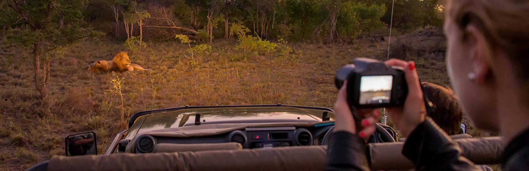 Safari na África do Sul