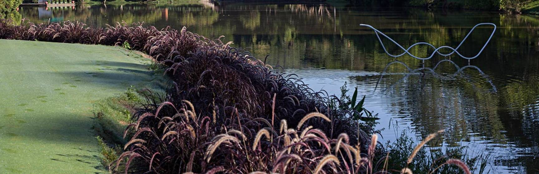 Sao paulo unique garden lago cisne