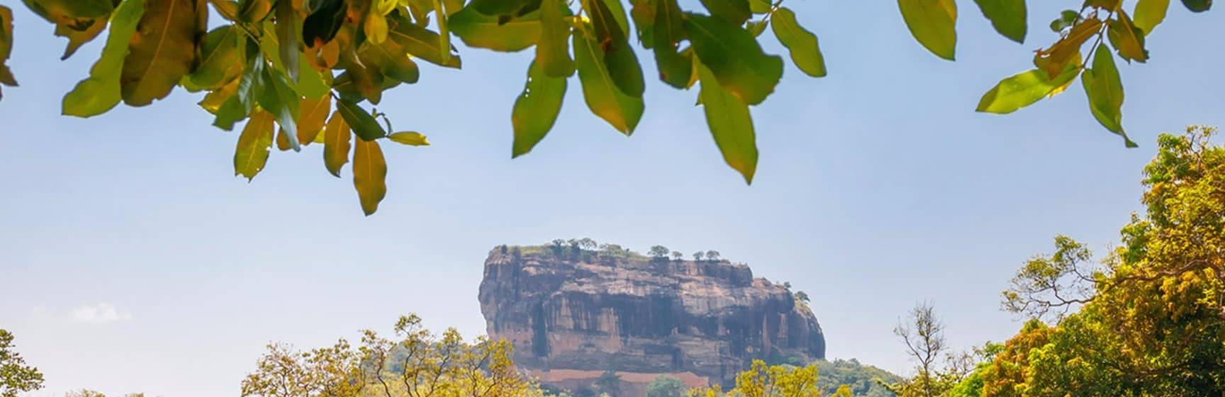 Sigiriya lion rock sri lanka