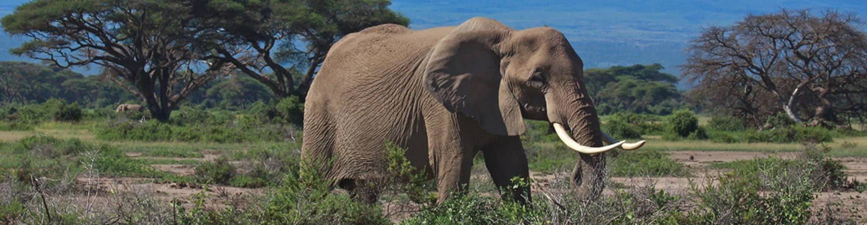 Tanzania