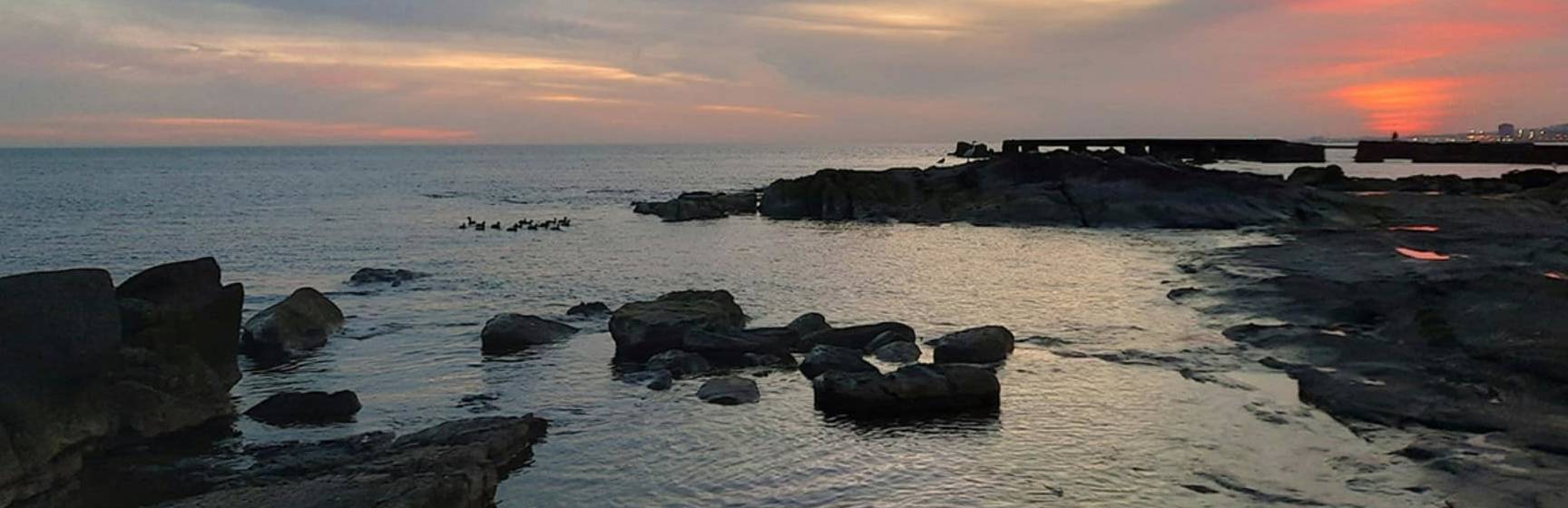 Uruguai montevideu praia