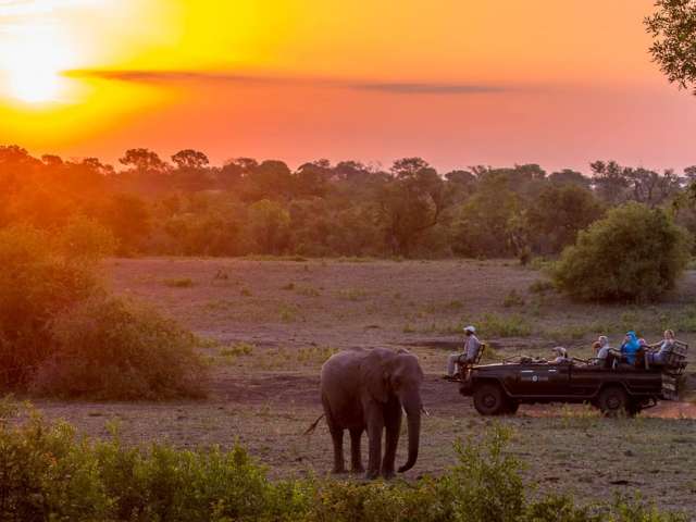Sabi sabi lodges safari