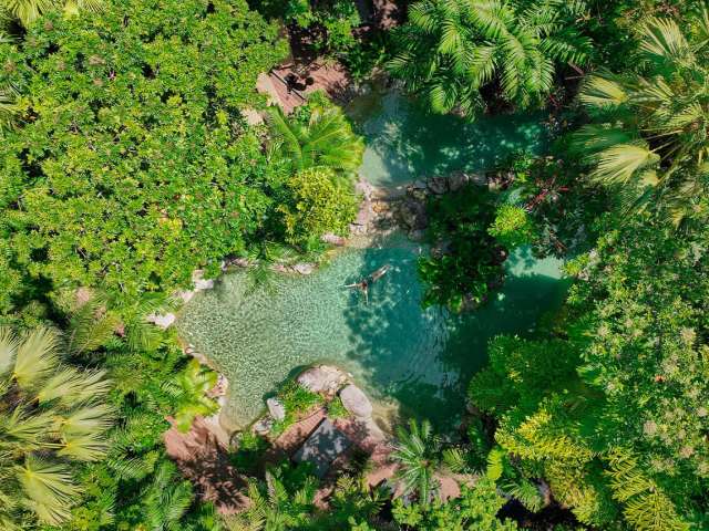 Silky oaks lodge australia the daintree swimming pool