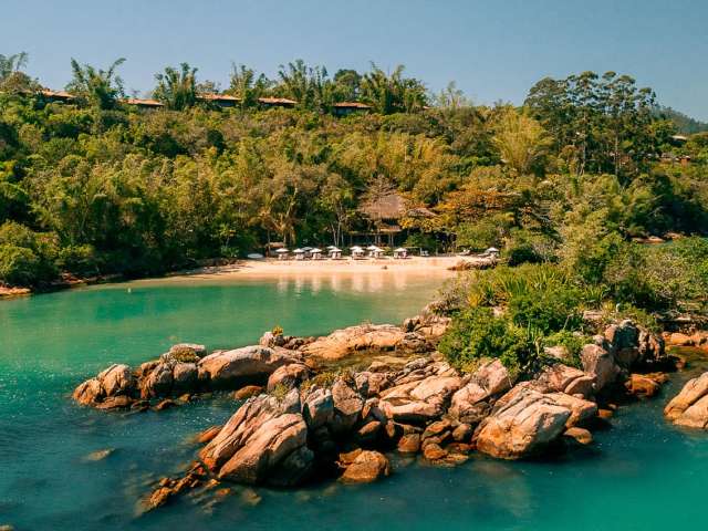 Awasi santa catarina c