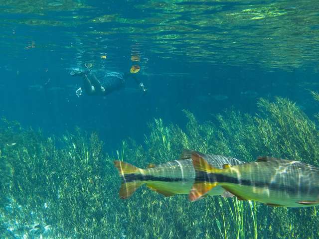 Mtur mato grosso do sul bonito nascente azul pessoa flavio andre