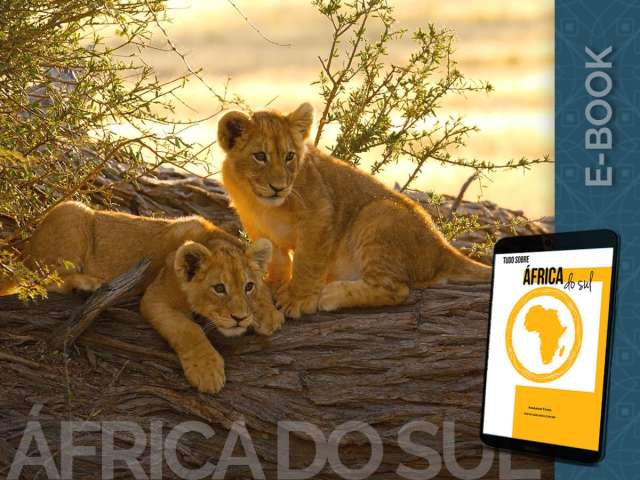Conhe&ccedil;a a &Aacute;frica do Sul