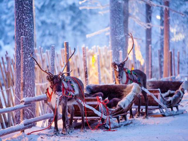 Finlandia rovaniemi neve renas