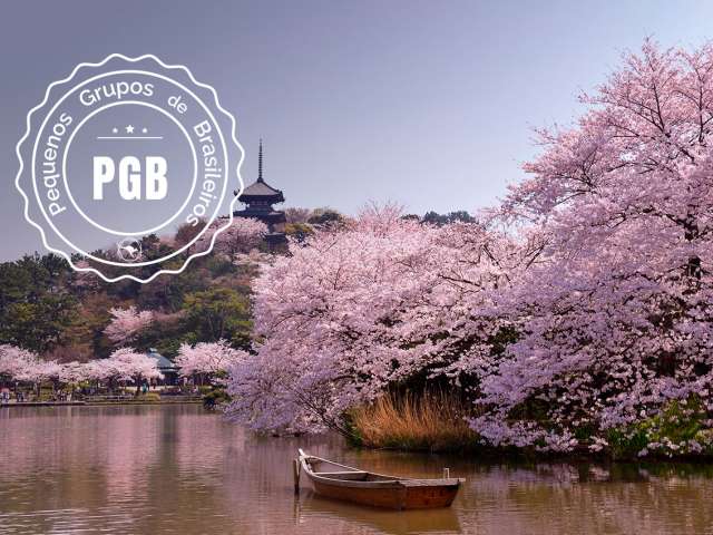 Japao cerejeira pgb barco